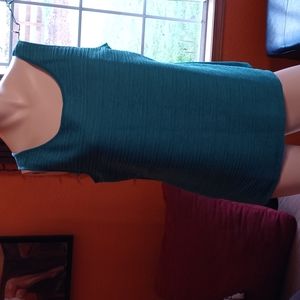 Ann taylor tank size m